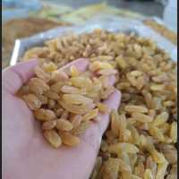 کشمش زرد خلیل اباد محصول باغات  کاشمر  بسته بندی یک  کیلویی تا 5 کیلویی 
