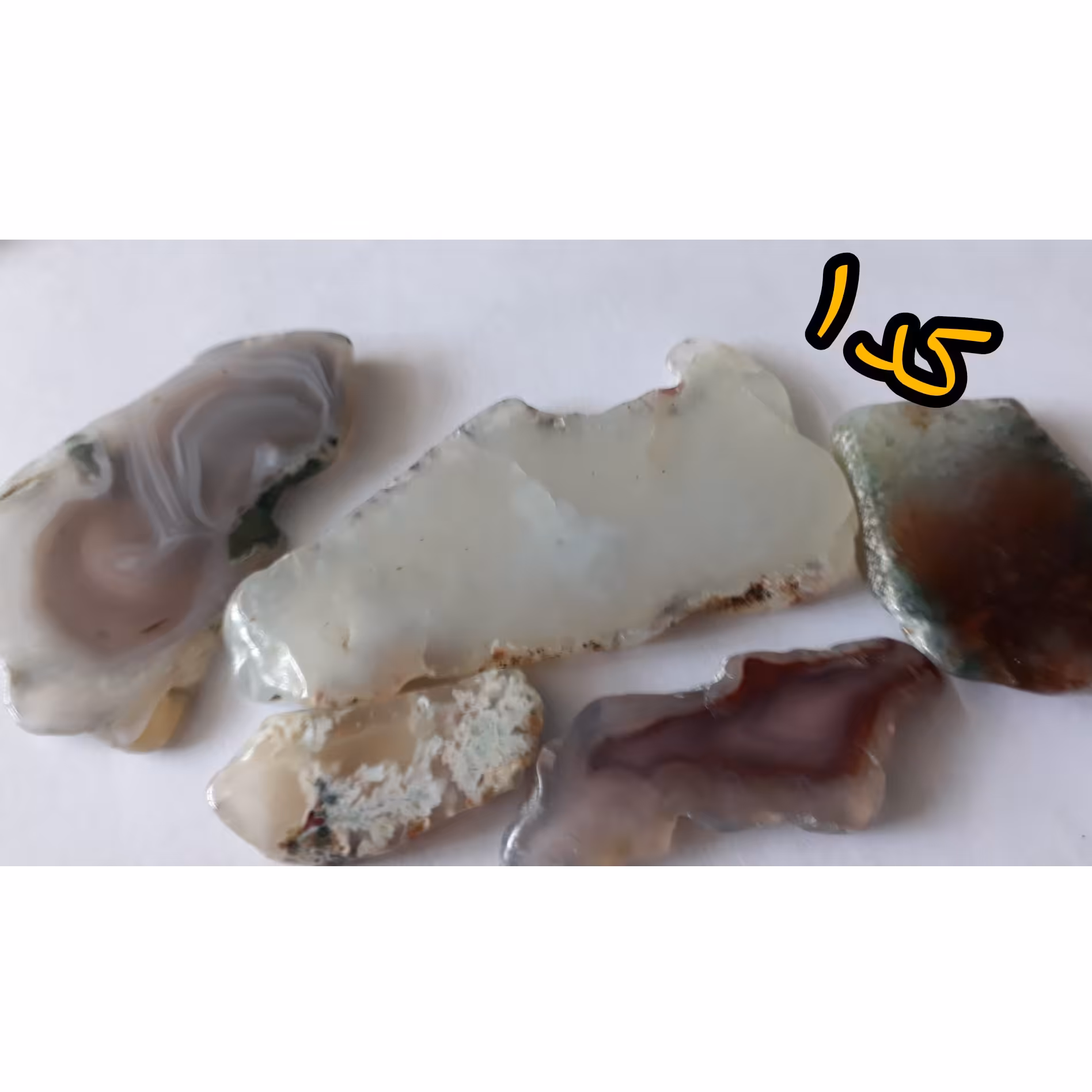 پک پنج تایی اسلایس شجر کلکسیونی 