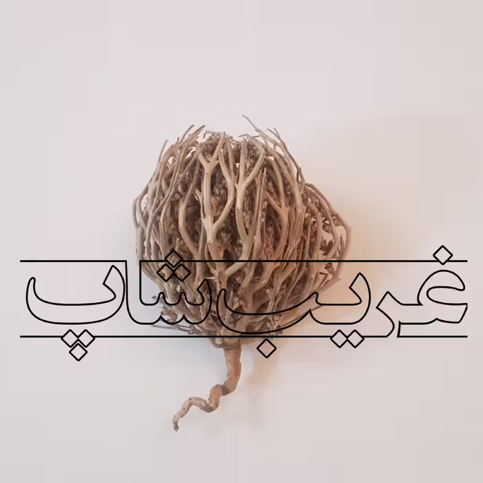 پنجه مریم (سیکلامن یا نگون سار)