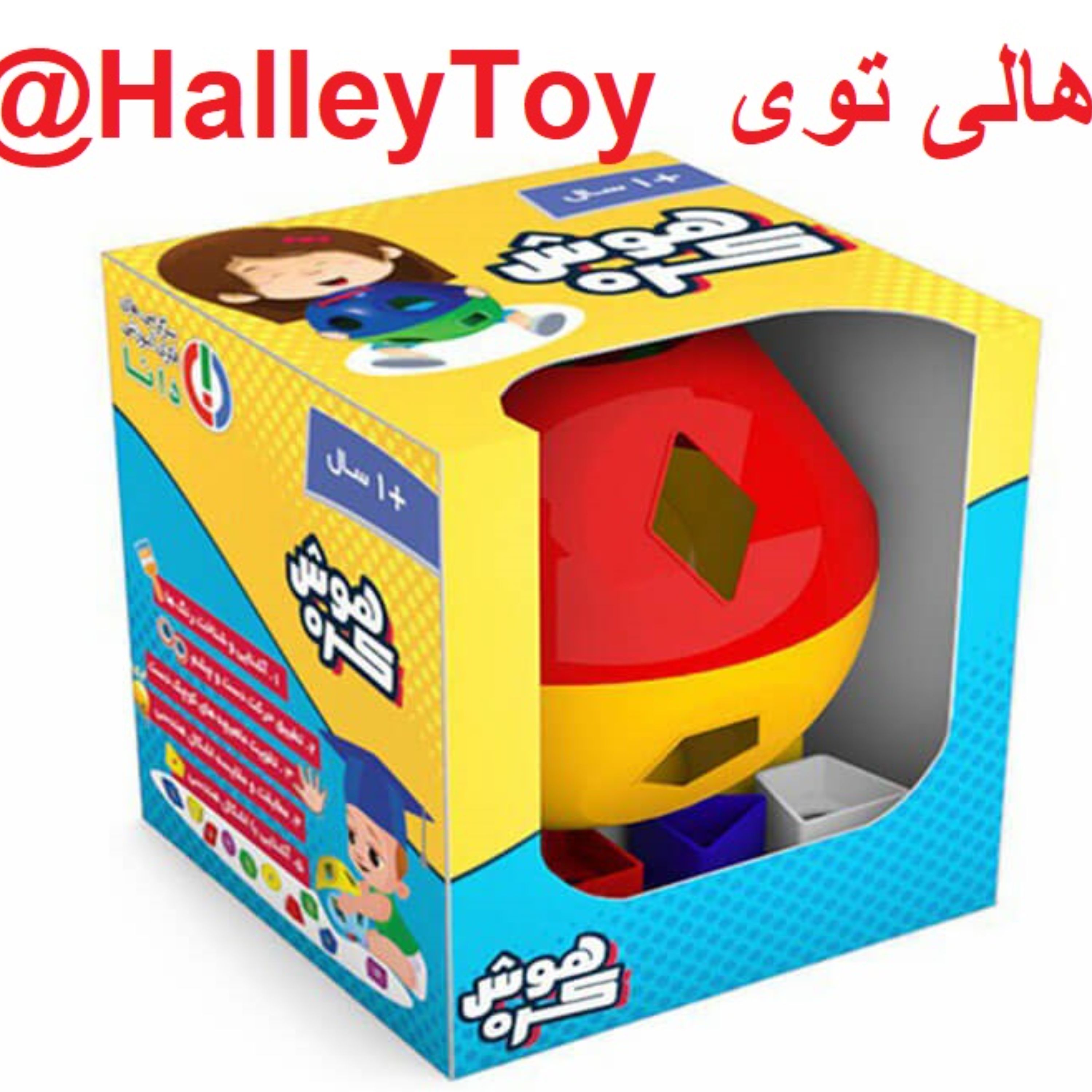 اسباب بازی فکری کره هوش دانا فروشگاه هالی توی