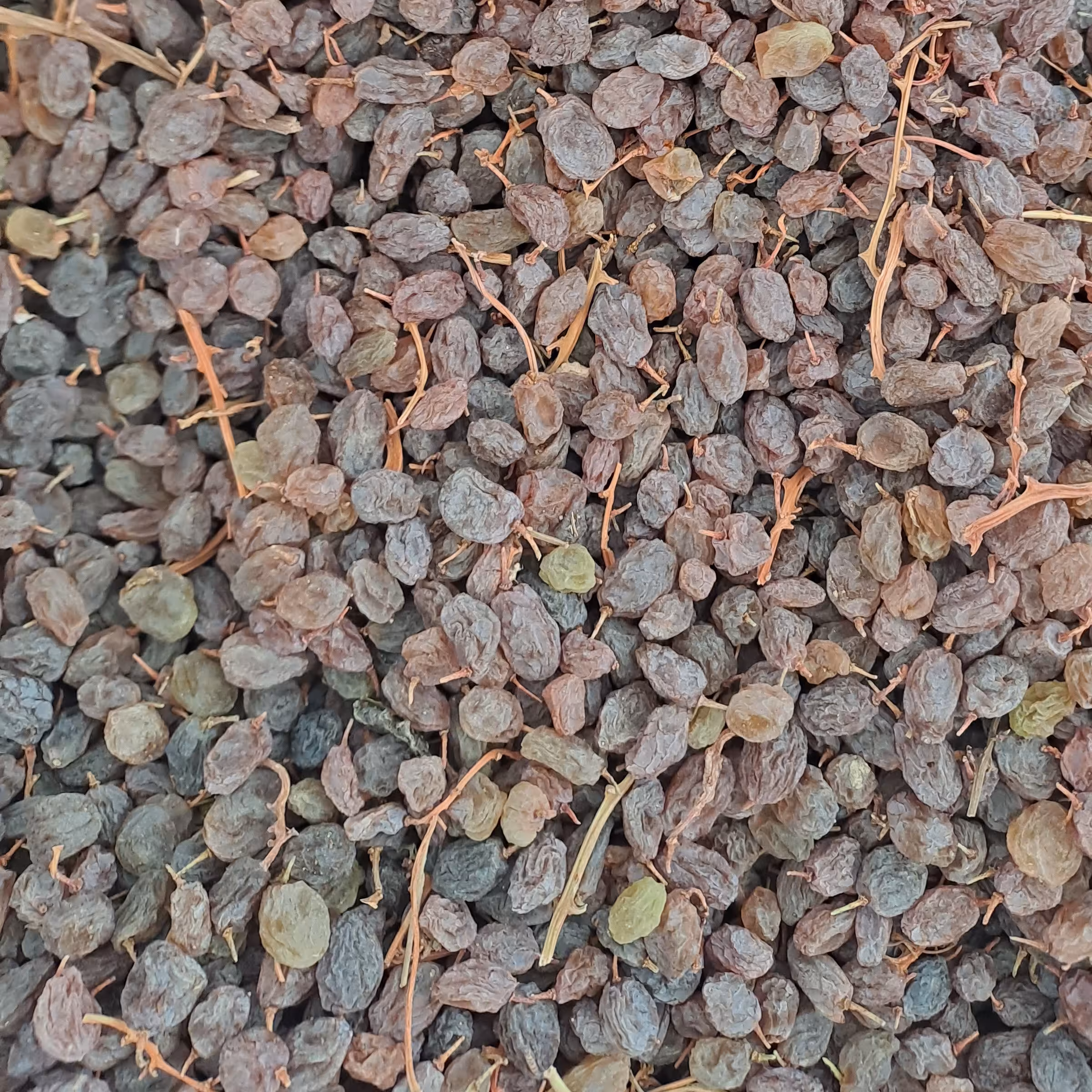 کشمش مخصوص ملایر