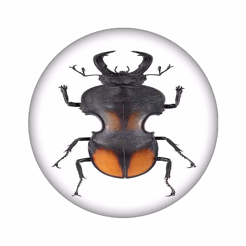 استیکر لپ تاپ طرح سوسک کد 3820