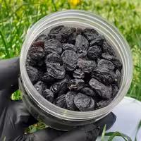 مویز لوکس بدون هسته 150 گرمی 