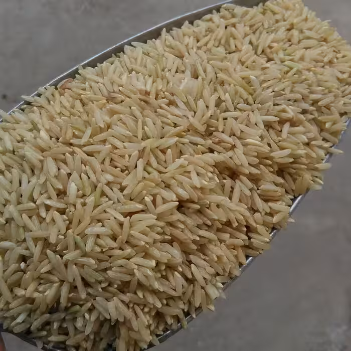 برنج قهوه ای اعلاء (10 کیلوگرم)