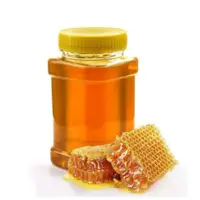 عسل سبلان بدون موم یک کیلویی 