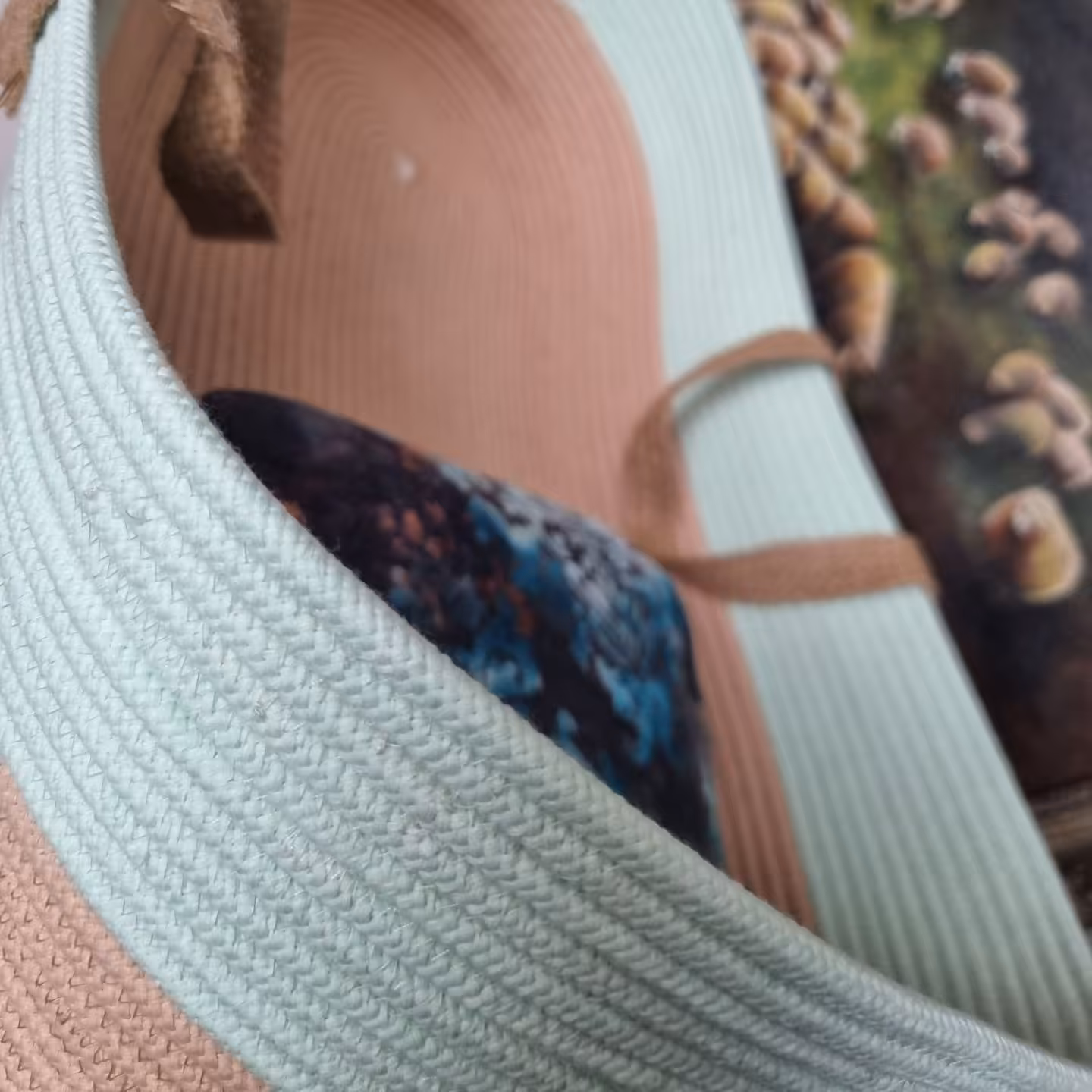 کریر نوزادی گهواره کودک 