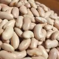 لوبیاکشاورزی