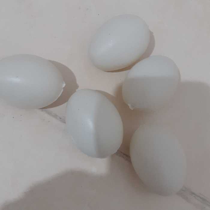 تخم مرغ پلاستیکی