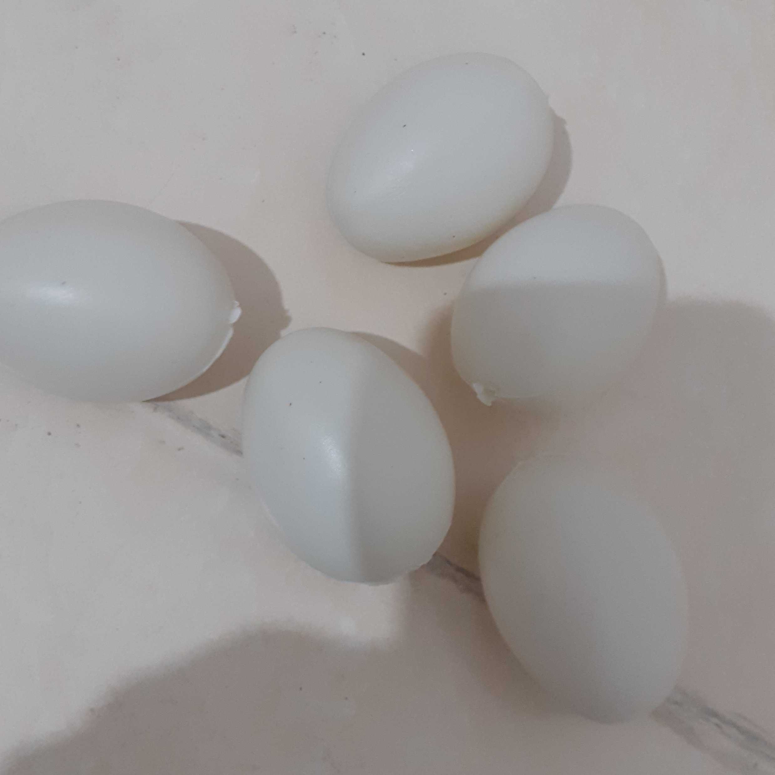 تخم مرغ پلاستیکی