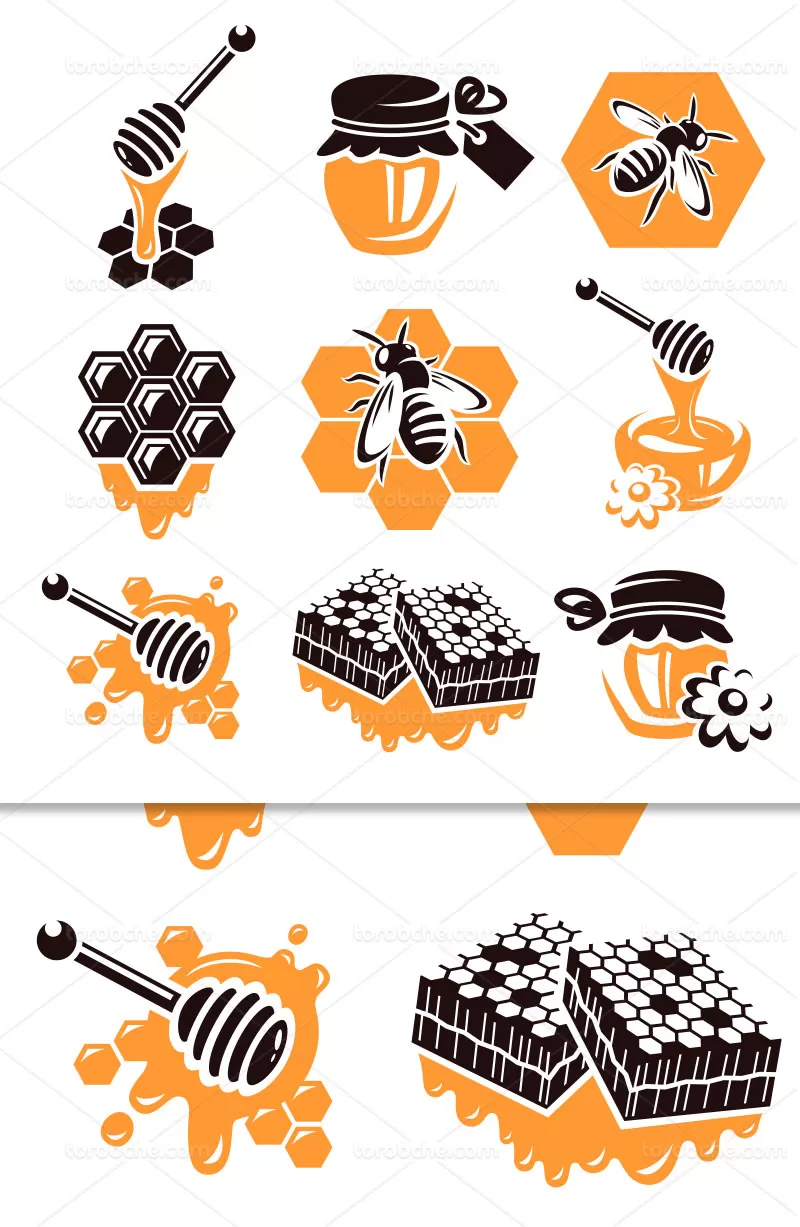 وکتور عسل و زنبور عسل | گرافیک با طعم تربچه