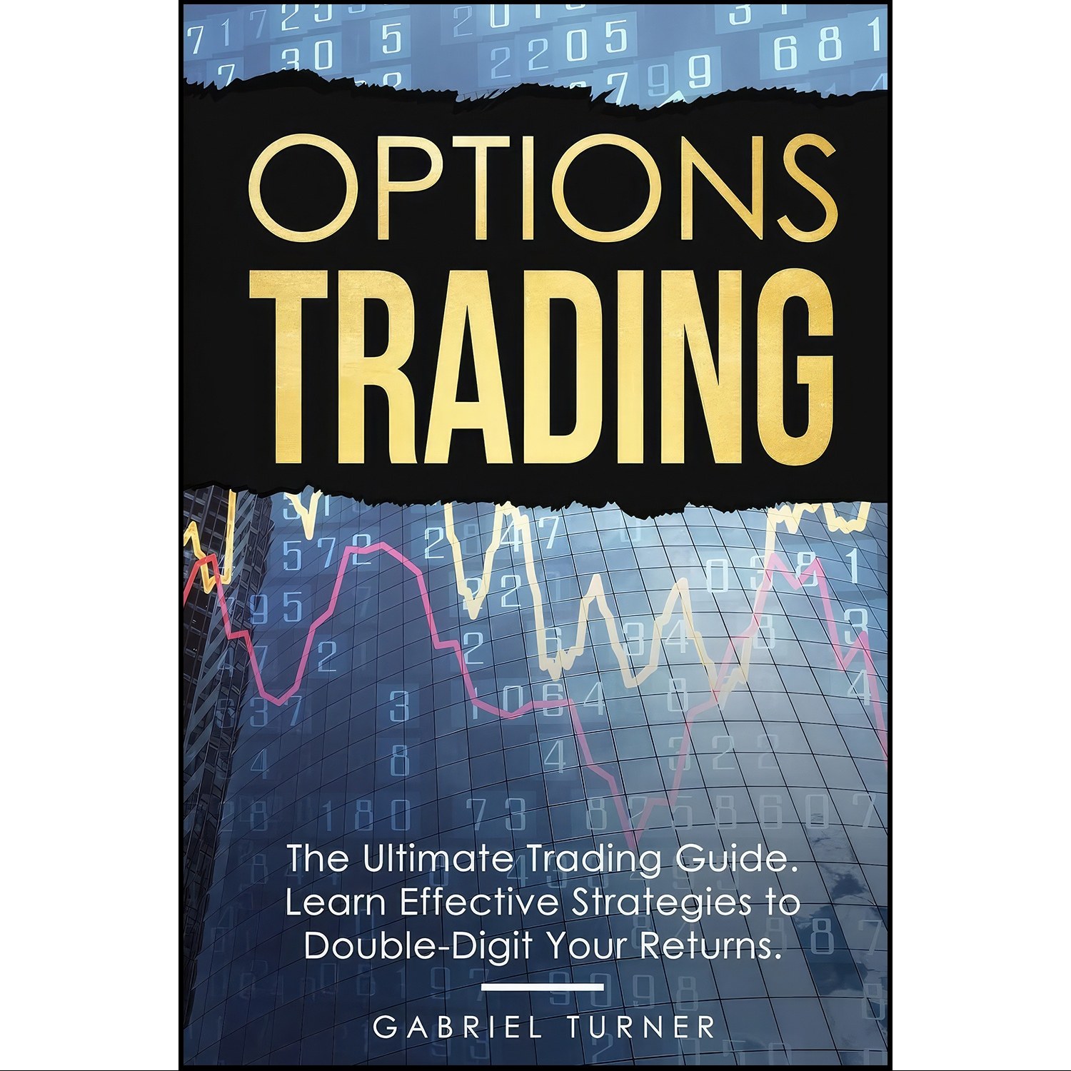کتاب زبان اصلی Options Trading اثر Gabriel Turner