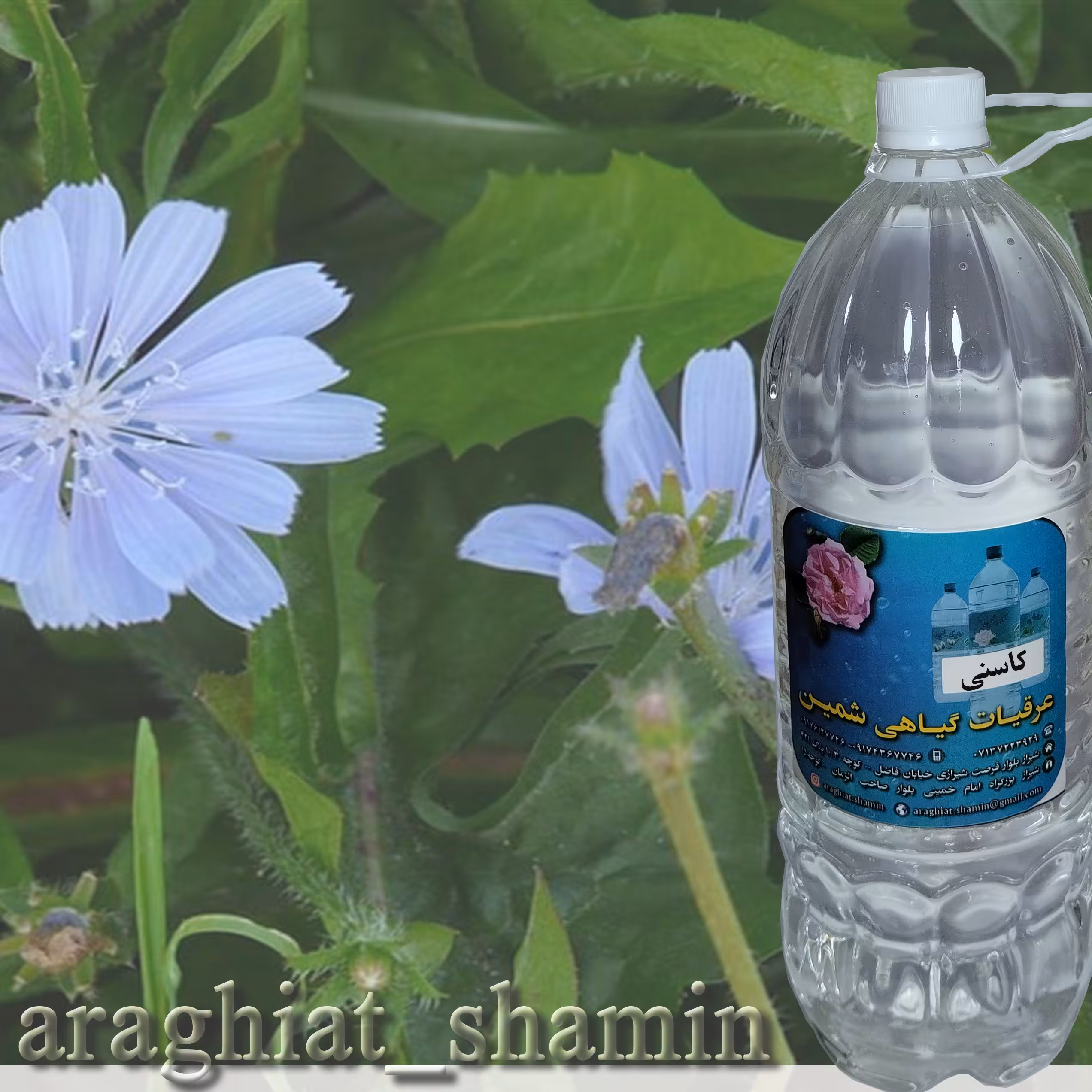 کاسنی 1 لیتری درجه یک  خانگی           