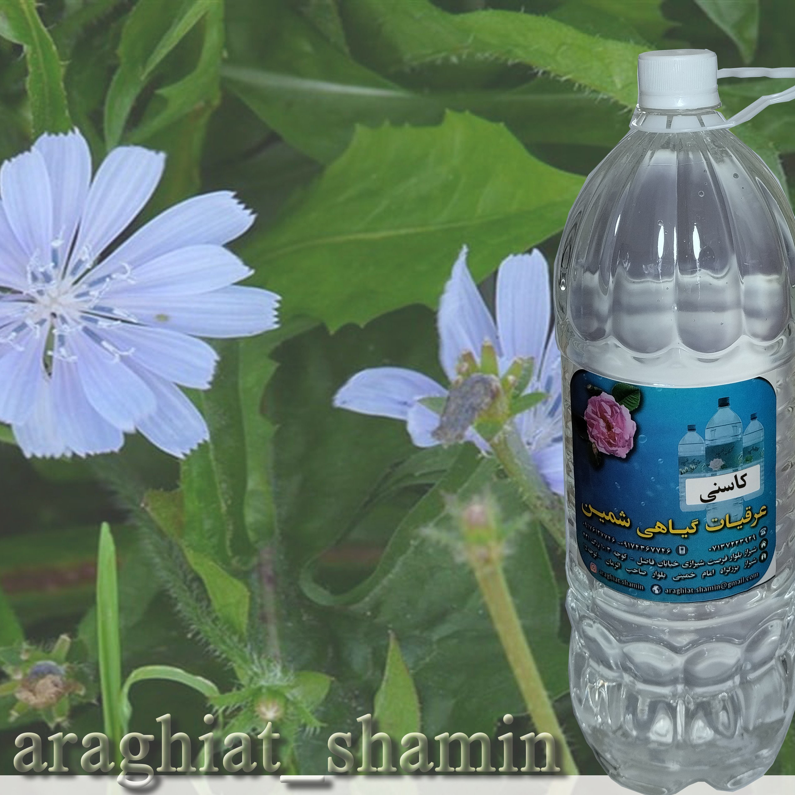 کاسنی 1 لیتری درجه یک  خانگی           