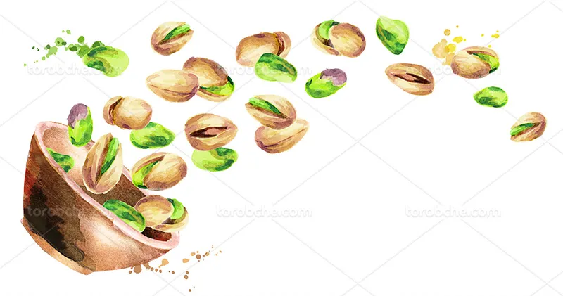 عکس نقاشی پسته | گرافیک با طعم تربچه