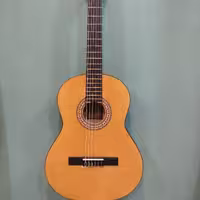 گیتار پارسی مدل m2 . طرح چوب .سبک . خوش صدا