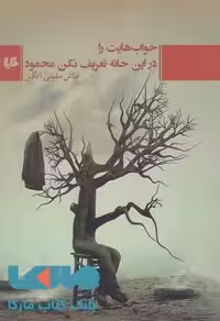 خواب هایت را در این خانه تعریف نکن محمود نشر هیلا