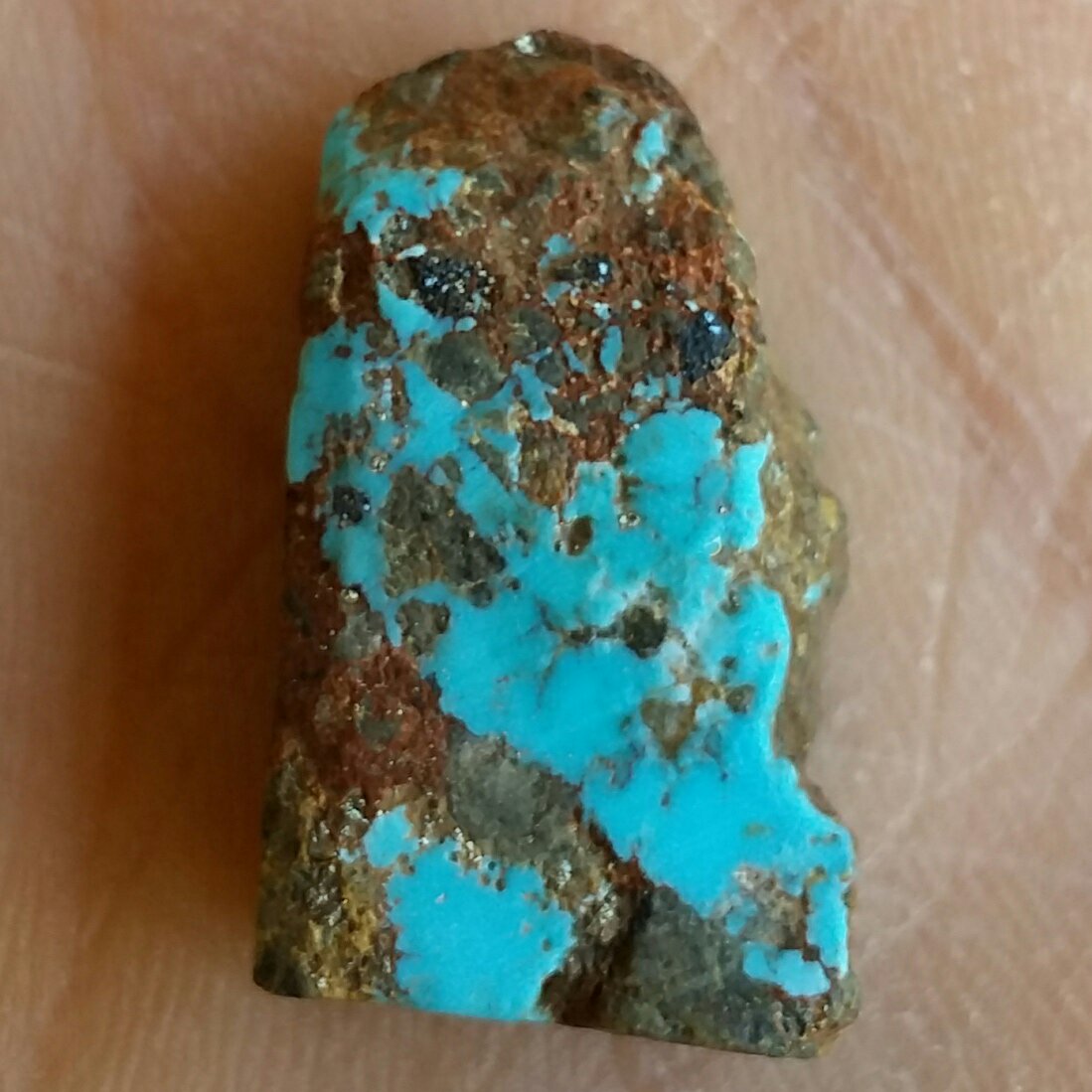 اسلایس سنگ راف فیروزه آبی پیریت طلایی دار اصل نیشابور 100 در 100 طبیعی بی نظیر شاهکار خلقت
نمونه ای کمیاب