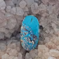 نگین فیروزه نیشابور کد 9134