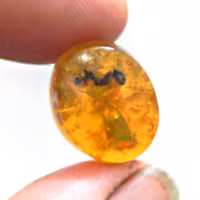 نگین سنگ کهربا پودری گیاه دار و مورچه دار زرد کد7 مناسب انگشتری تراش بیضی