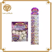 کشک گرد 10 عددی استندی  در طعم های موسیر و سبزیجات و ساده