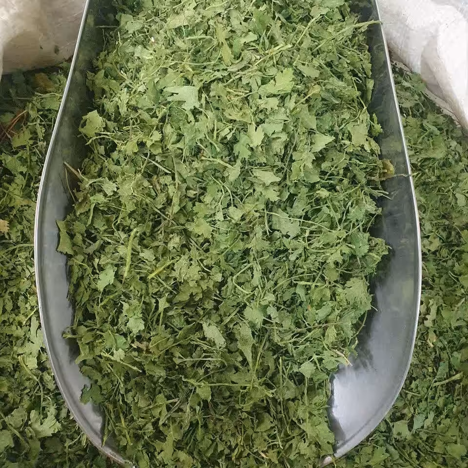 سبزی گشنیز خشک 100 گرم