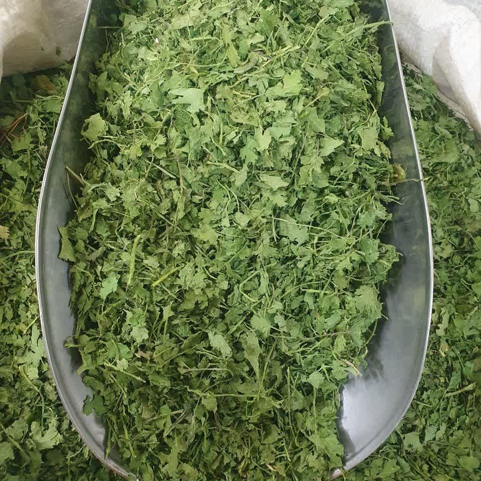 سبزی گشنیز خشک 100 گرم