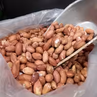 بادام زمینی ایرانی 900 گرمی