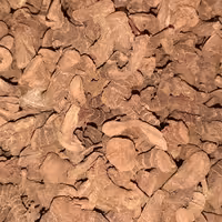 خولنجان 500 گرمی گیاهینو قولنجان . خسرودار  قلم