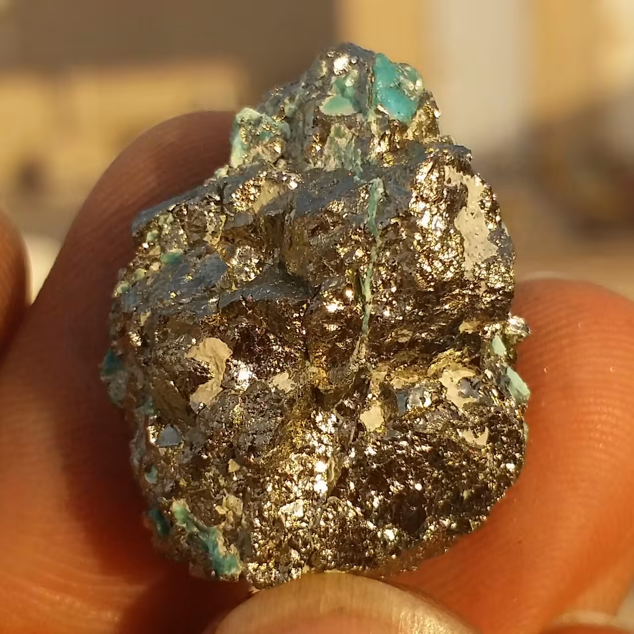 سنگ راف حبه شده پیریت طلایی ملقب به سنگ طلا همرشدی با کریزوکولا 100 در 100 طبیعی شاهکار خلقت
بی نظیر
کد 8982