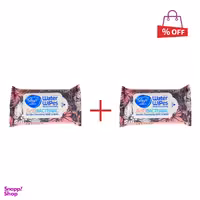 دستمال مرطوب دافی (Dafi) مدل آنتی باکتریال بسته 10 عددی مجموعه 2 عددی