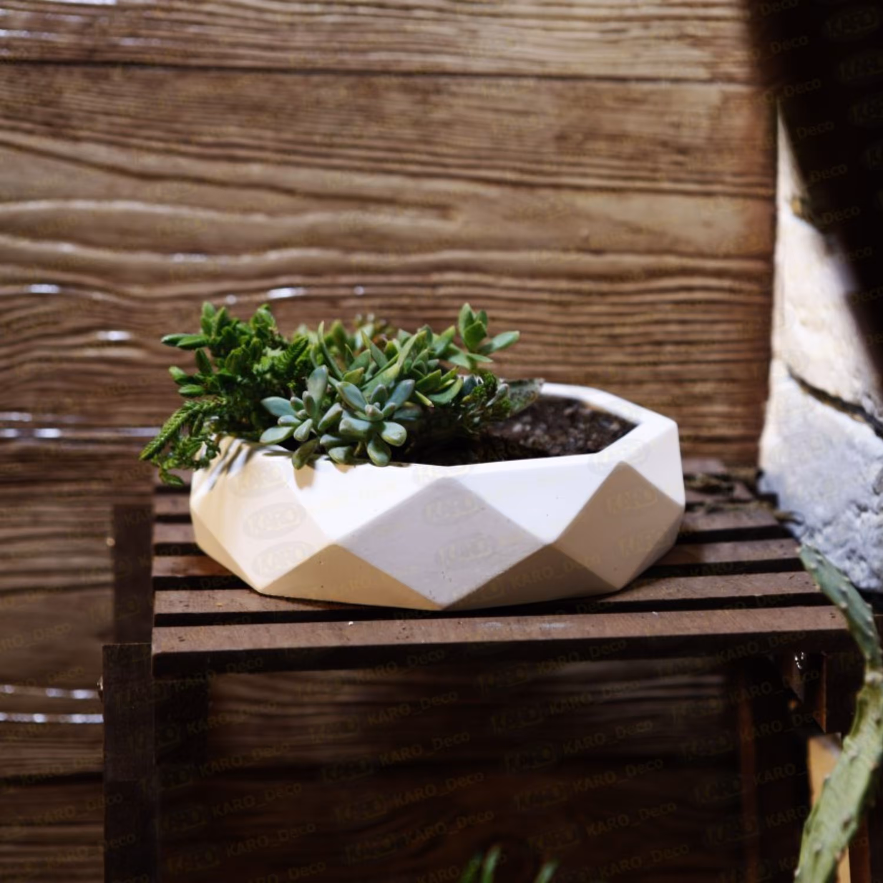 گلدان دیش گاردن بتنی