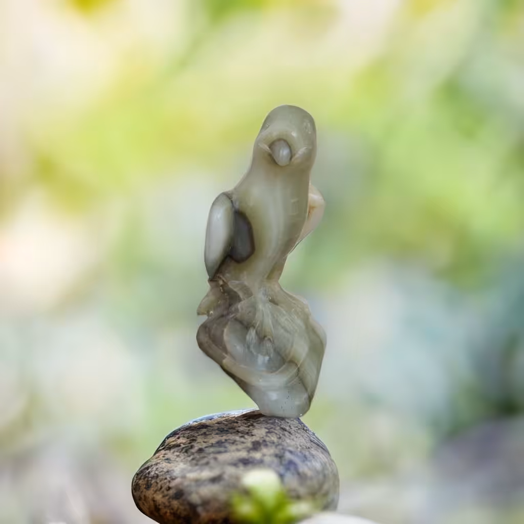 مجسمه ی طوطی  سنگی