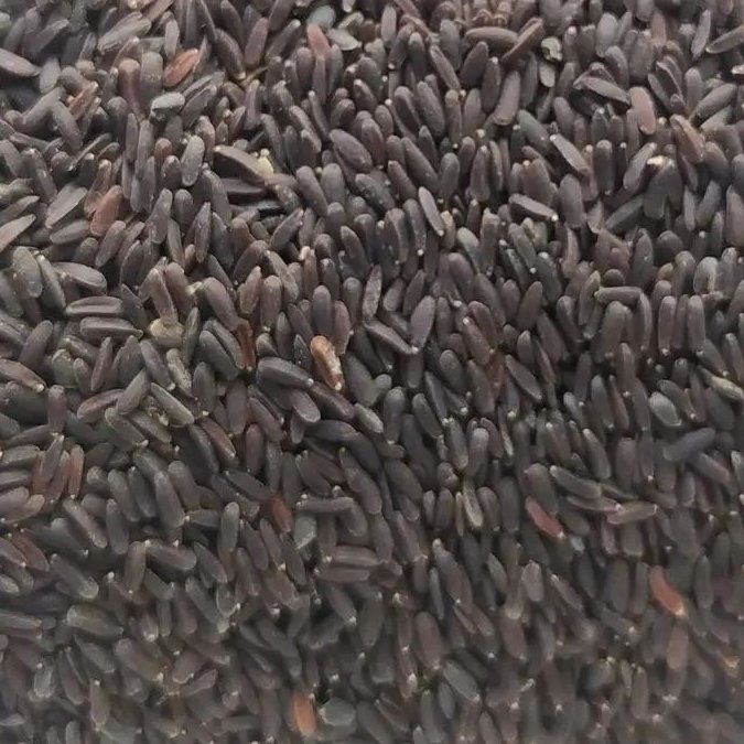 دانه بالنگو اعلا یک کیلوگرم