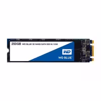 حافظه SSD وسترن دیجیتال مدل BLUE WDS250G M.2 ظرفیت 250 گیگابایت