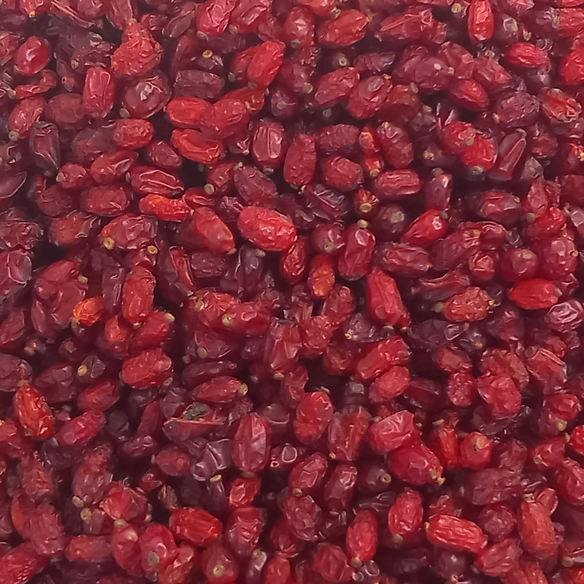 زرشک مرغوب کیلویی