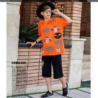 تیشرت شلوارک اسپرت نوجوان cat

مناسب 8 تا 14 سال

موجود در سایز 55، 60 ، 65

کار قواره دار

