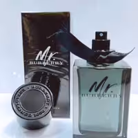 عطر مستر باربری-100میل- مردانه