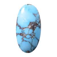 نگین فیروزه شجر نیشابور اصل تراش بیضی کد N128