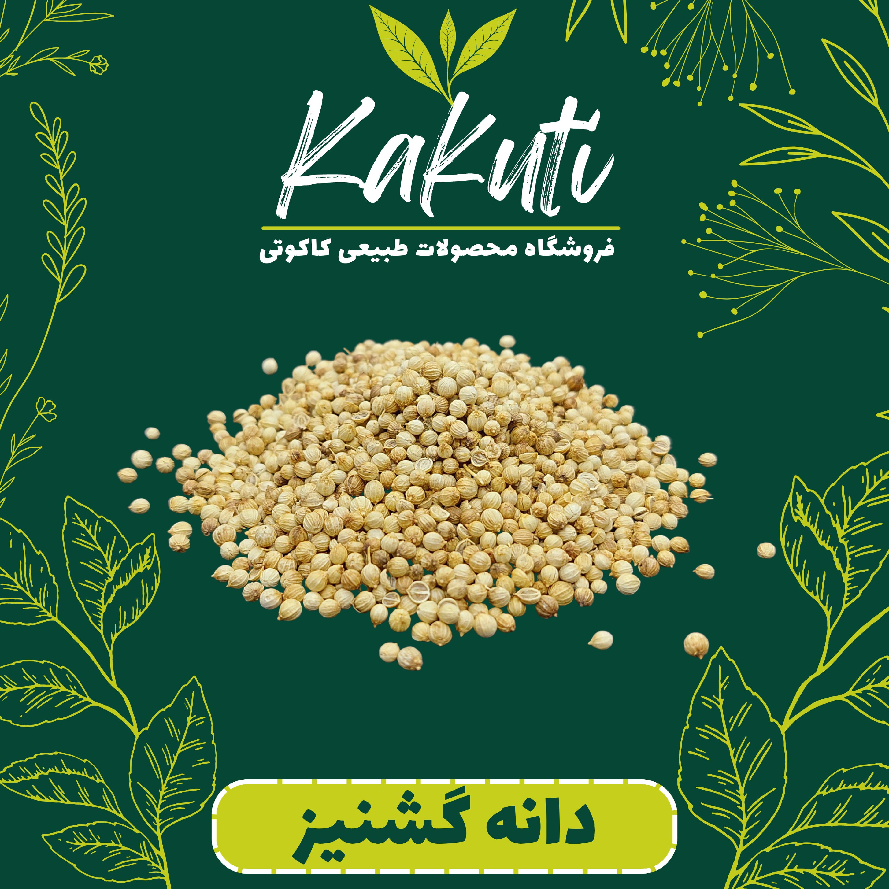 دانه گشنیز صادراتی درجه یک (170 گرمی) فروشگاه کاکوتی