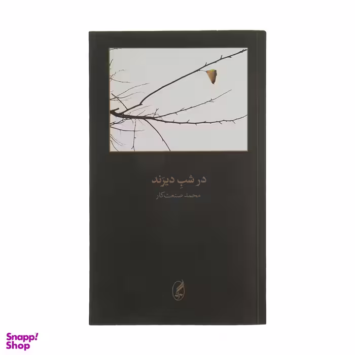 کتاب در شب دیرند اثر محمد صنعت‌کار انتشارات آگه