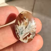 نگین عقیق شجر  زمینه عسلی 