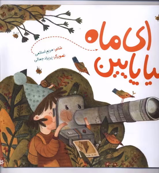 کتاب ای ماه بیا پایین به نشر