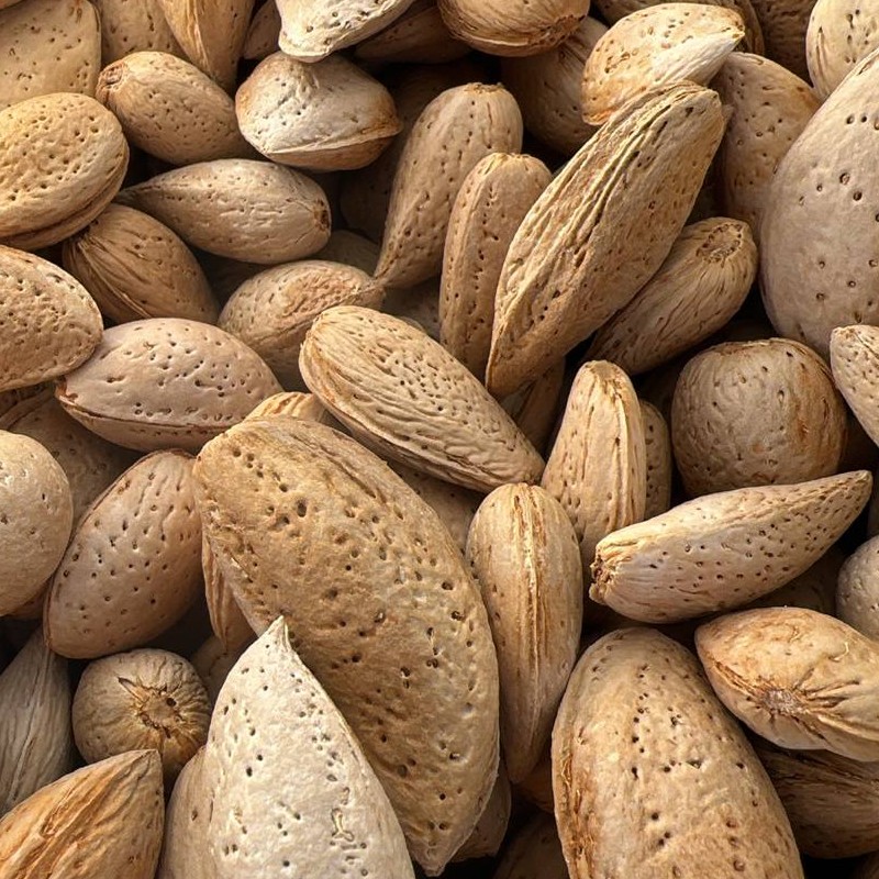 بادام درجه یک امساله