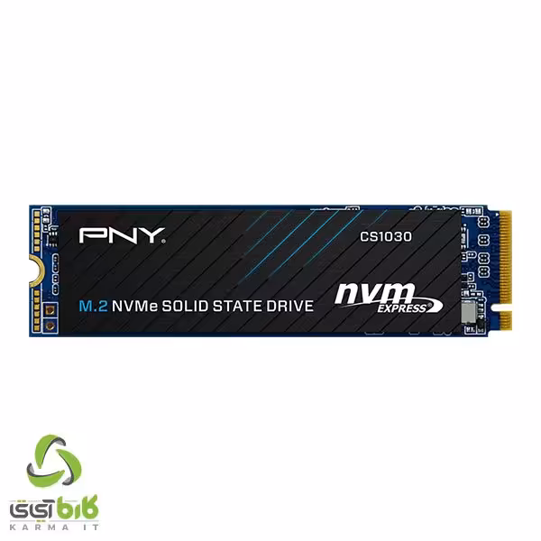 اس اس دی پی ان وای مدل CS1030 M.2 250GB - فروشگاه کارما آی‌تی