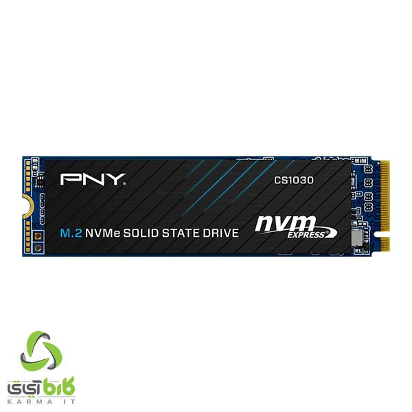 اس اس دی پی ان وای مدل CS1030 M.2 250GB - فروشگاه کارما آیتی