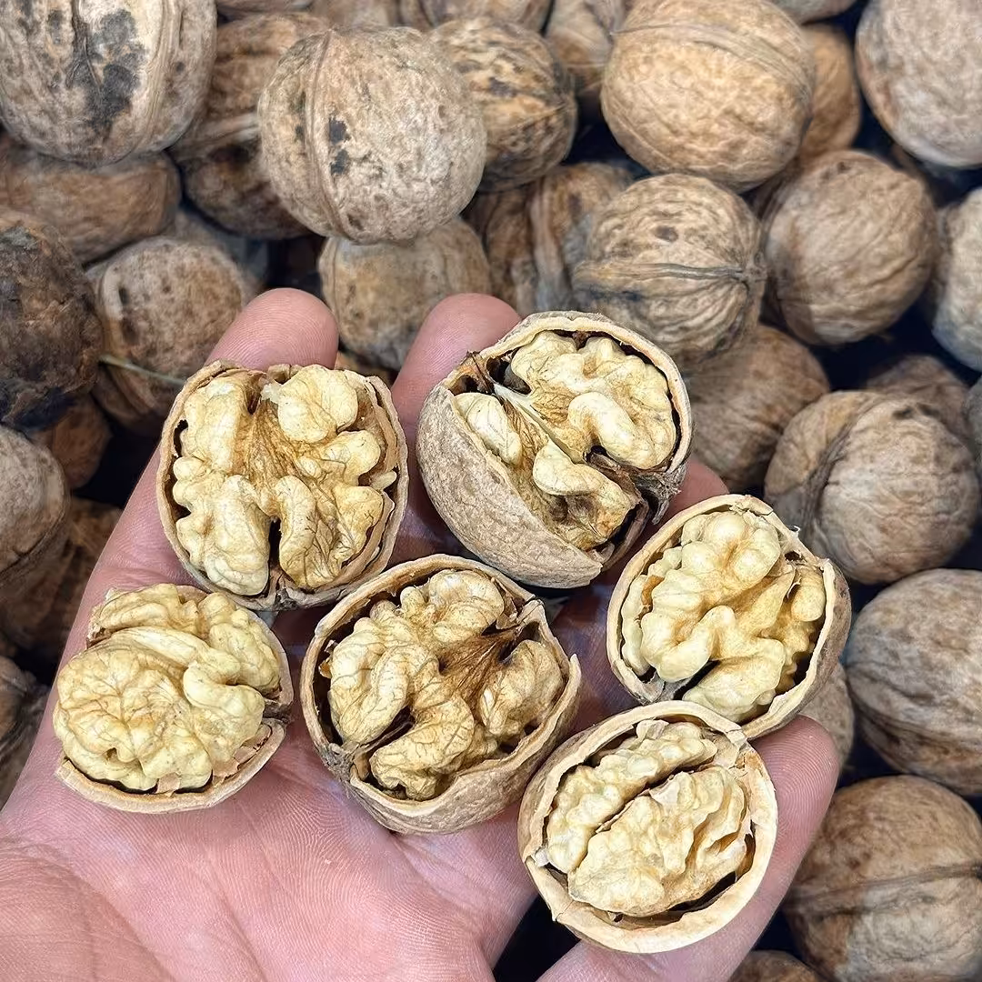 گردو خشک سولقان بسته 1 کیلویی