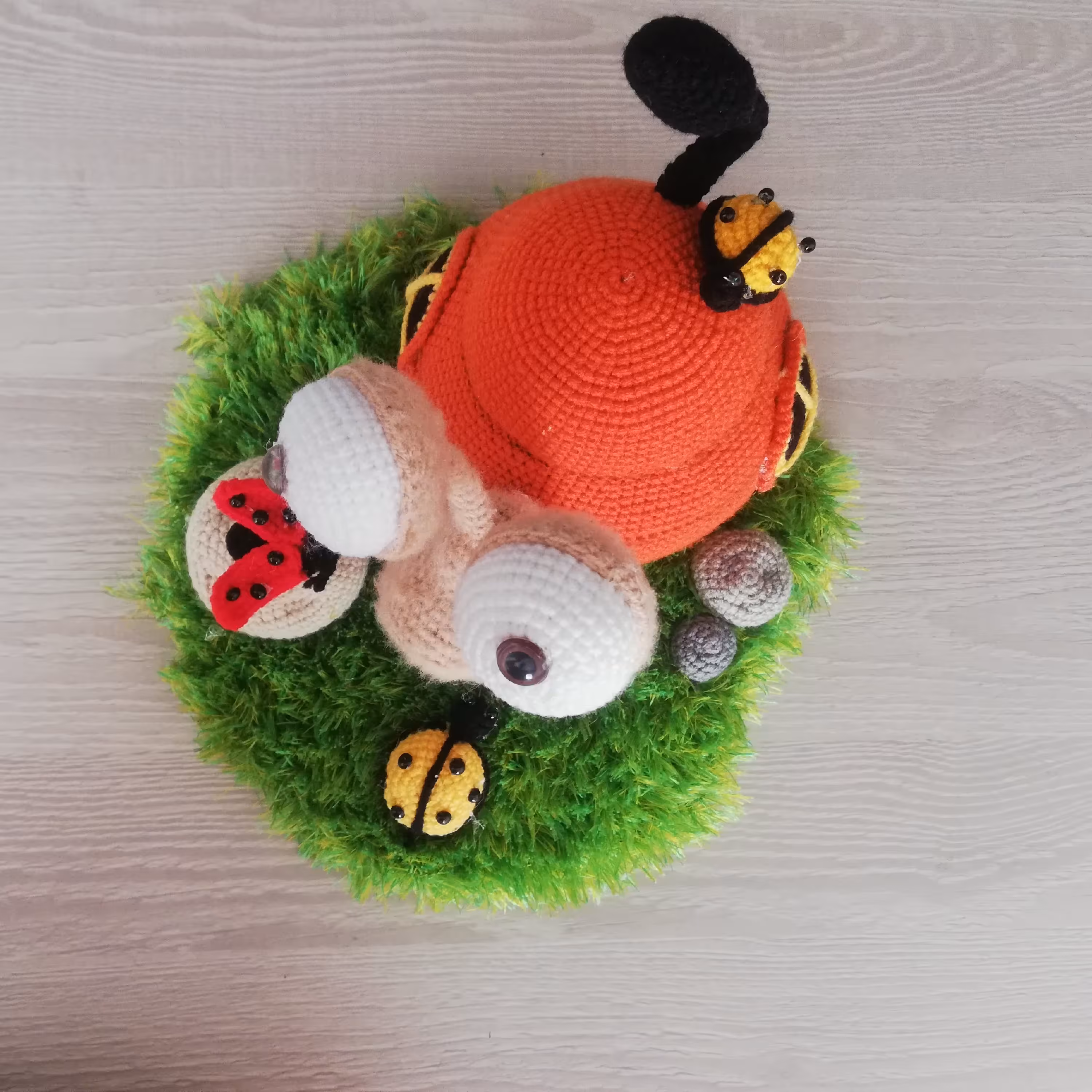 منظره حلزون بافتنی شیک