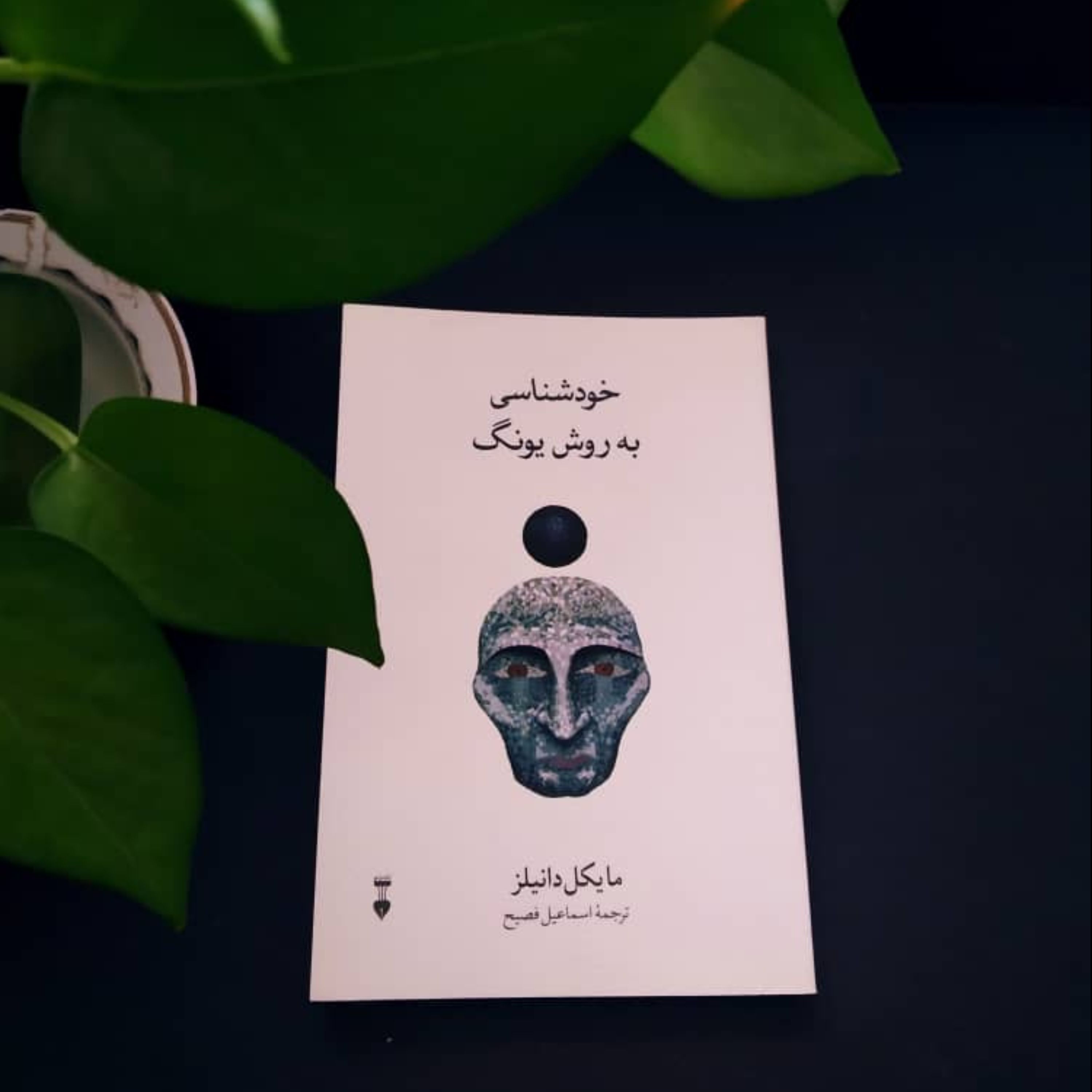 خودشناسی به روش یونگ مایکل دانیلز ترجمه اسماعیل فصیح
