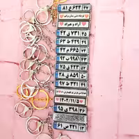 جاسوییچی پلاک ماشین 