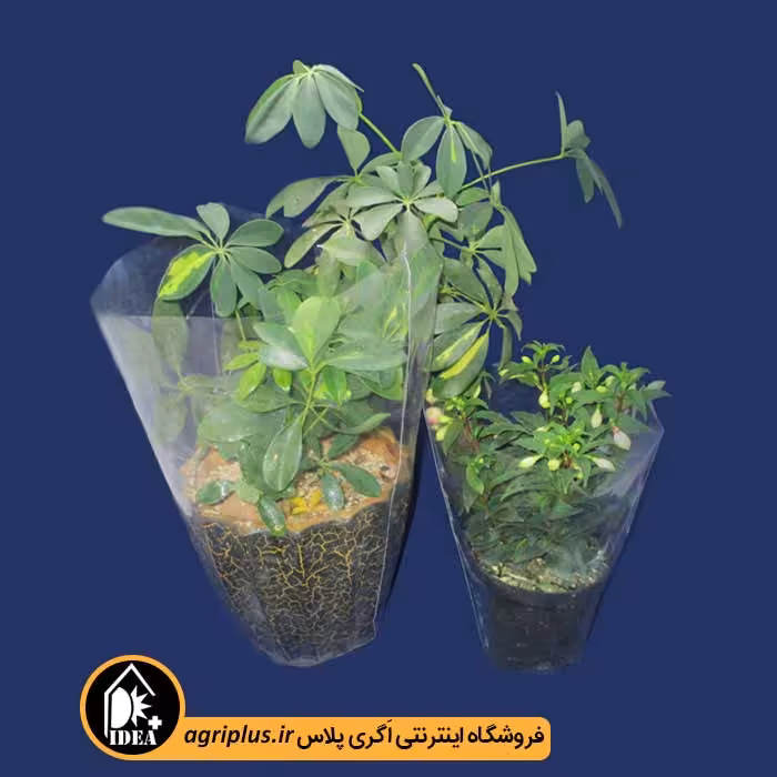 سلفون گلدان (بسته بندی گل) 55×17